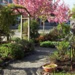 Olympia Farmers Market Garden